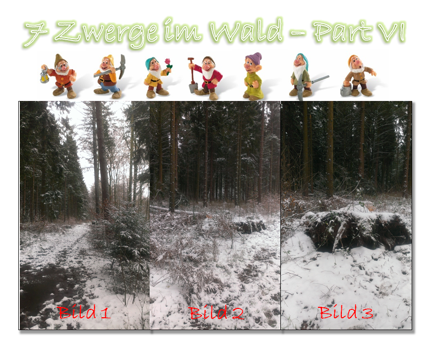 7 Zwerge im Wald - Part VI