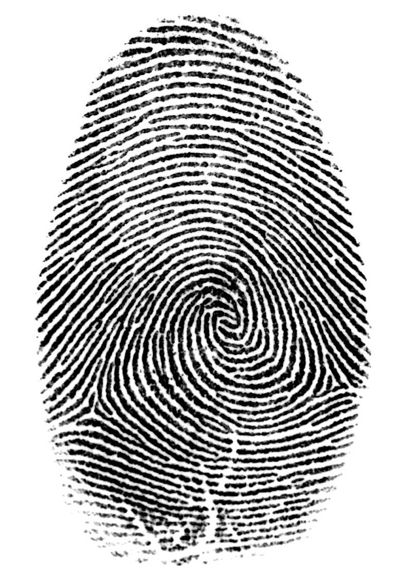 Finger print