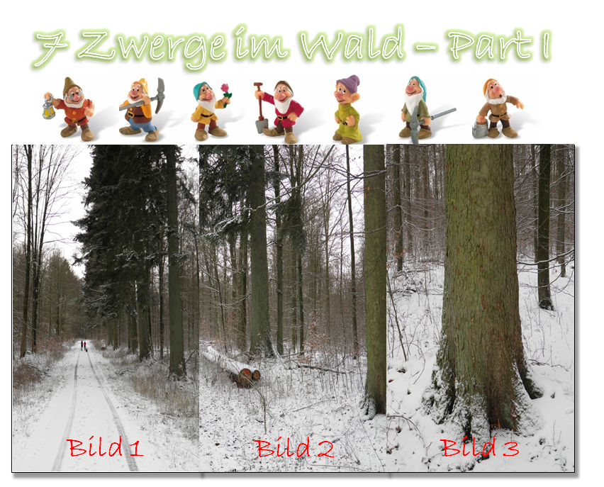 7 Zwerge im Wald - Part I