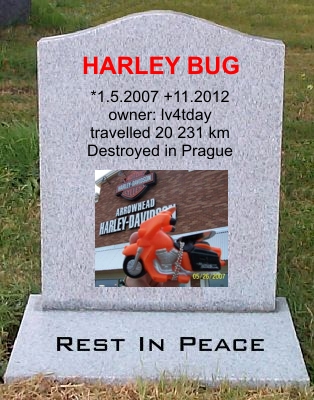 HARLEY BUG
