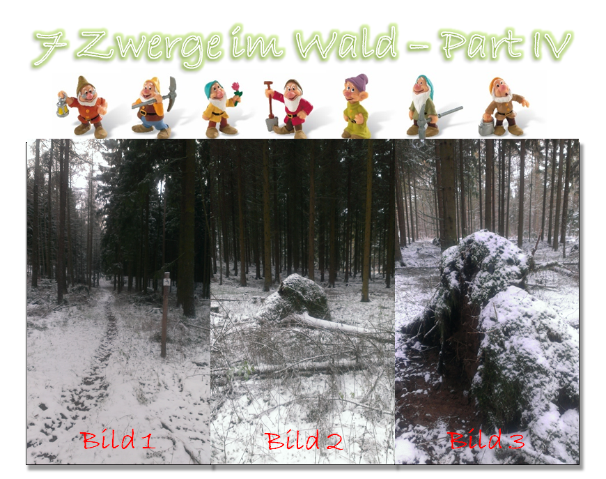 7 Zwerge im Wald - Part IV