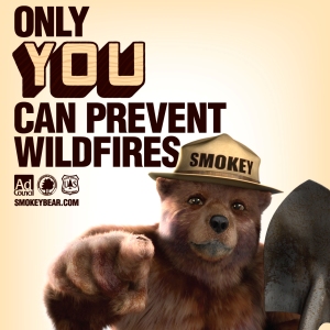 Learn more about Preventing Forest Fires