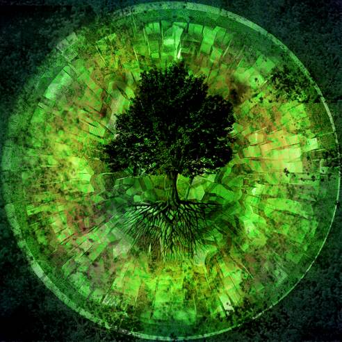 Strom zivota * Tree of Life