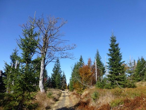 Podzimní Böhmerweg
