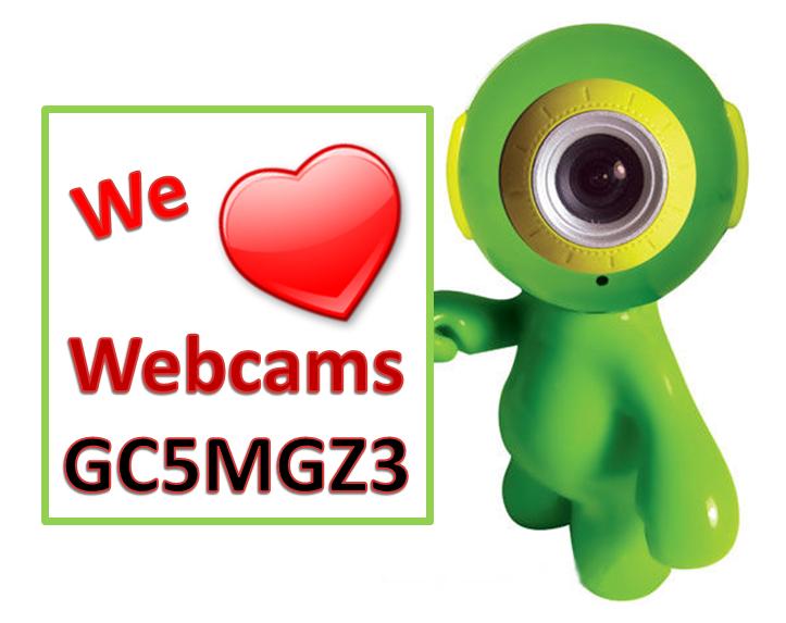 We love Webcams
