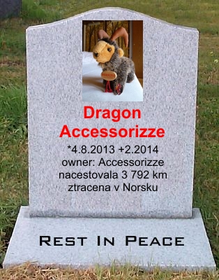 Dragon Accessorizze