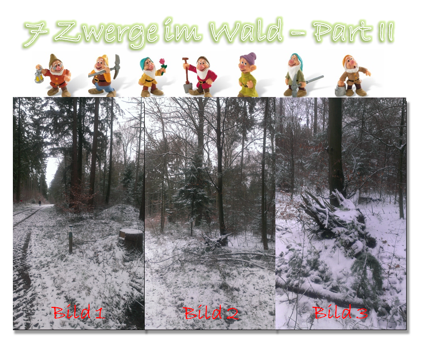 7 Zwerge im Wald - Part II