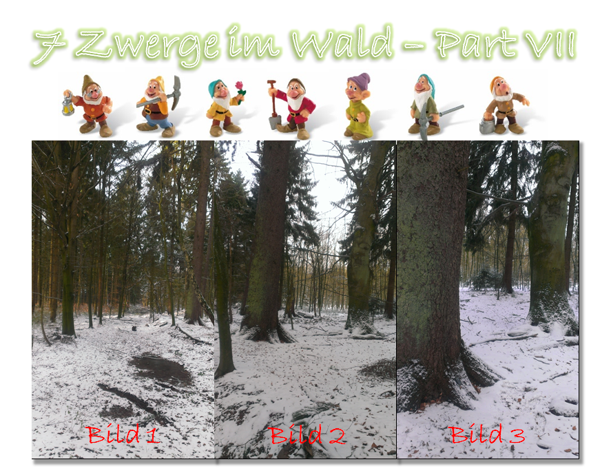7 Zwerge im Wald - Part VII
