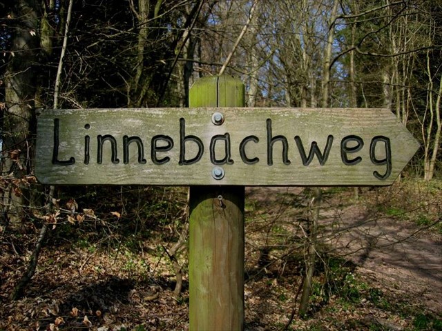 Linnenbachweg H
