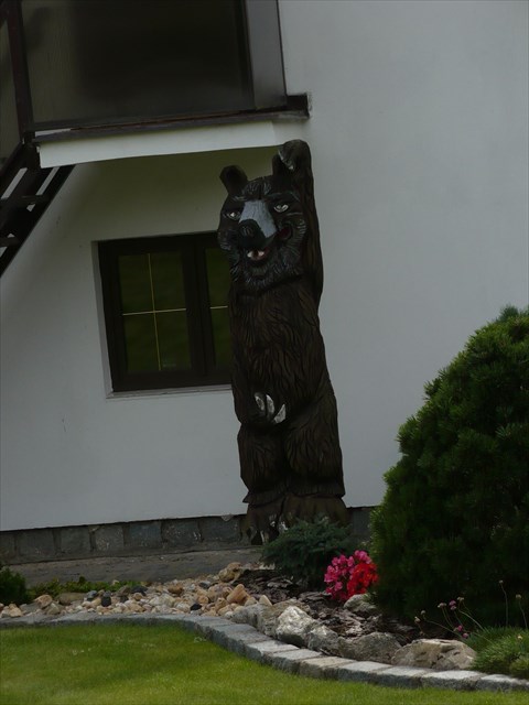 Pozor na medveda 