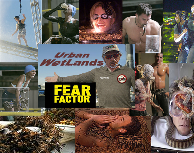 Fear Factor Colodge