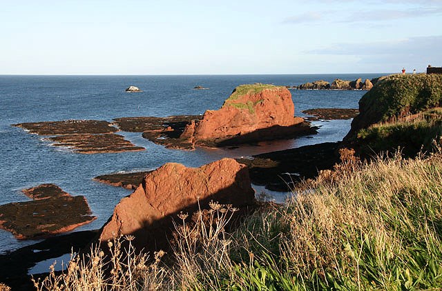 Dunbar Cliffs