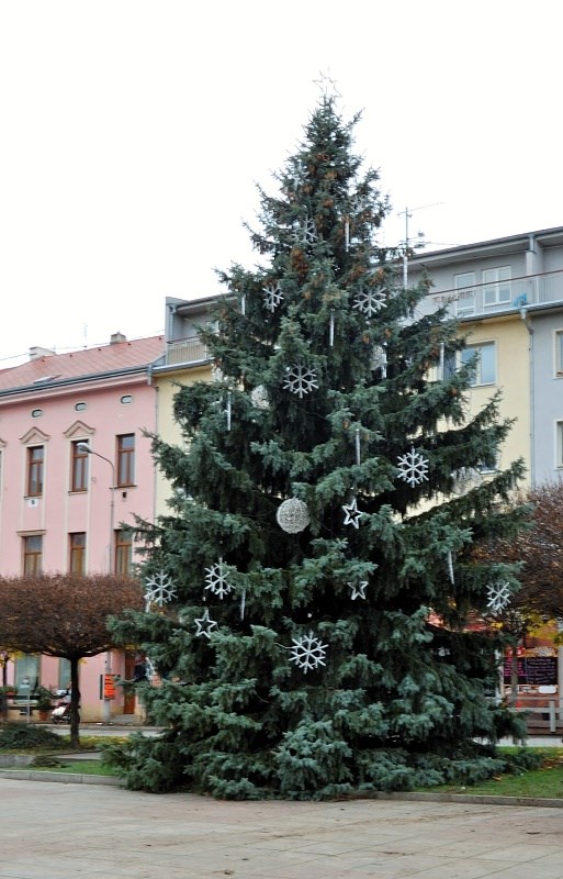 Obrázek Vánočního stromečku
