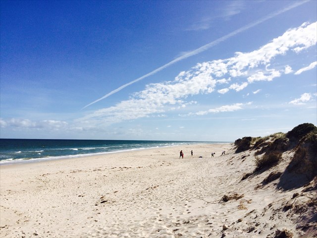 Adelaide Living Beaches