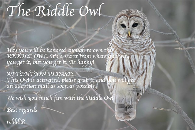 Riddle Owl Geocoin